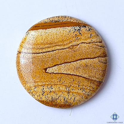 Picture Jasper