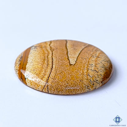 Picture Jasper