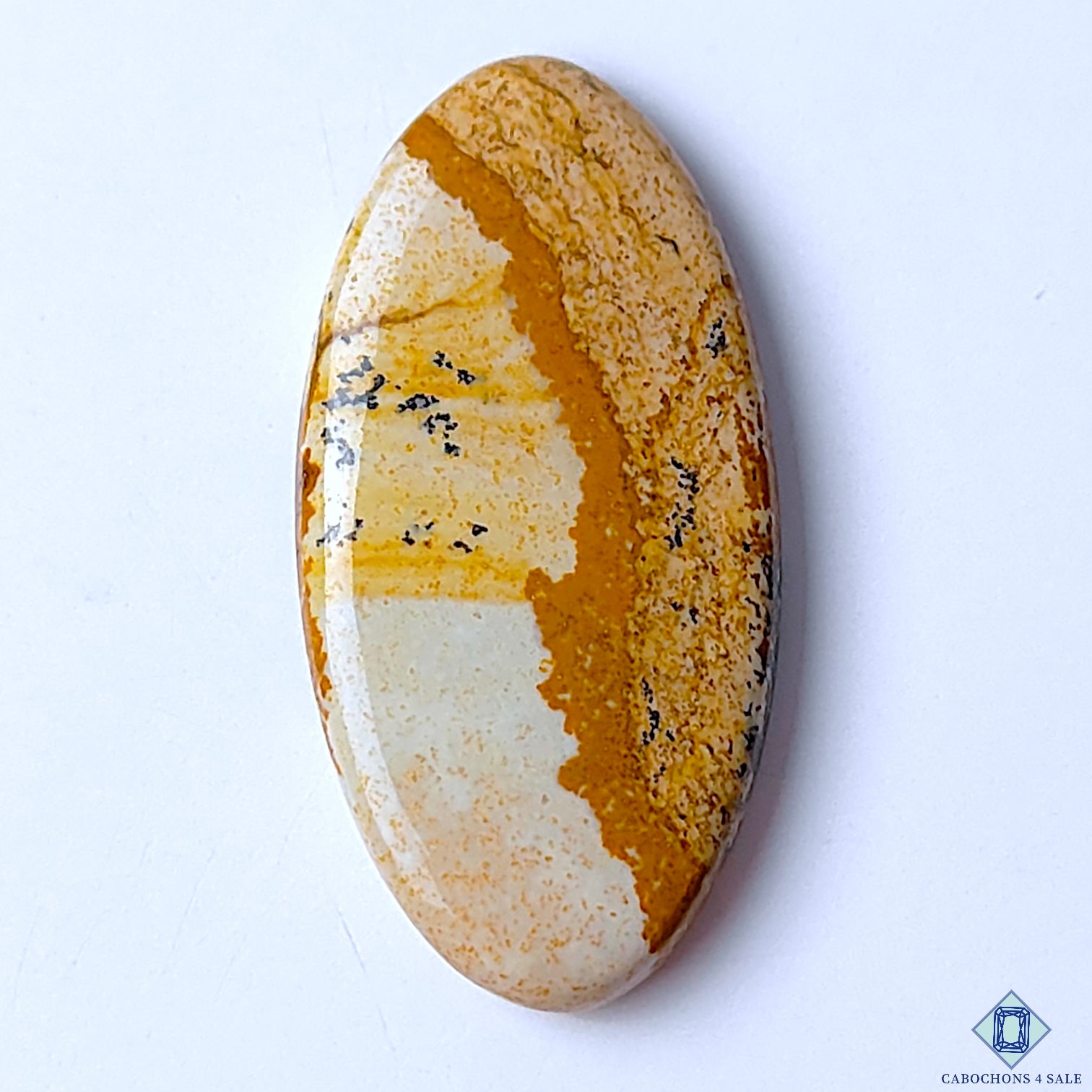 Picture Jasper