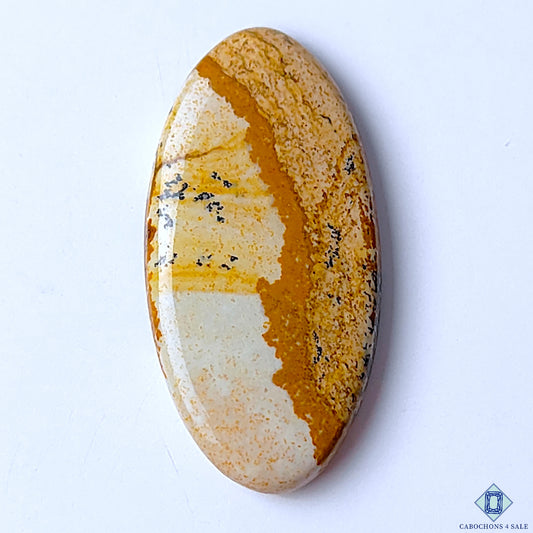 Picture Jasper