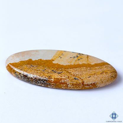 Picture Jasper