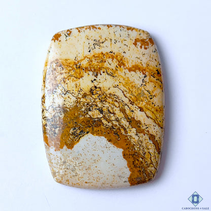 Picture Jasper