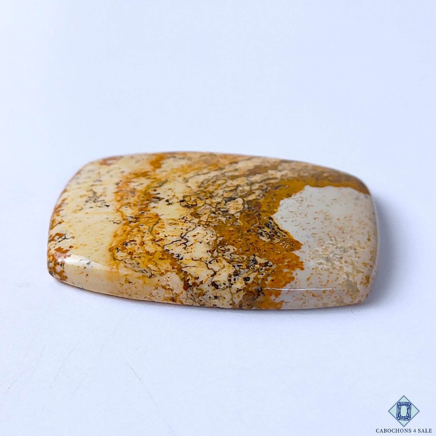 Picture Jasper