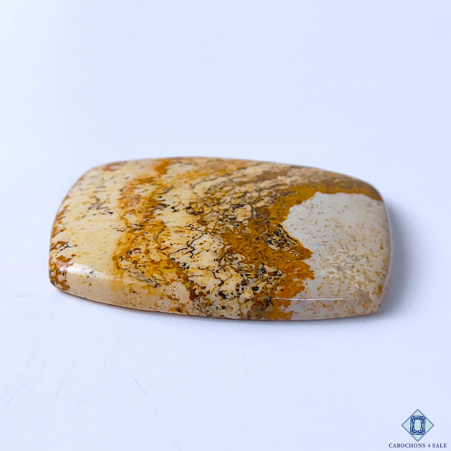 Picture Jasper