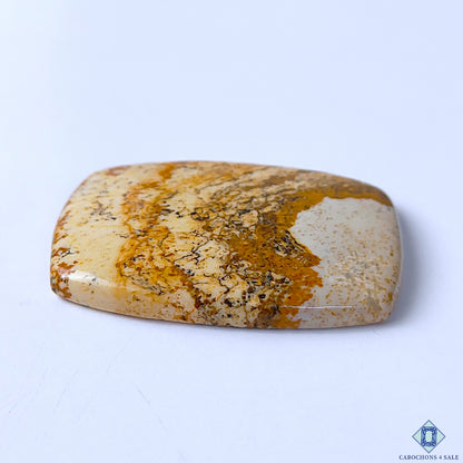 Picture Jasper
