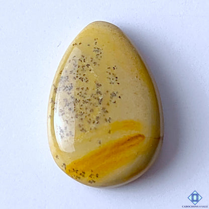 Picture Jasper