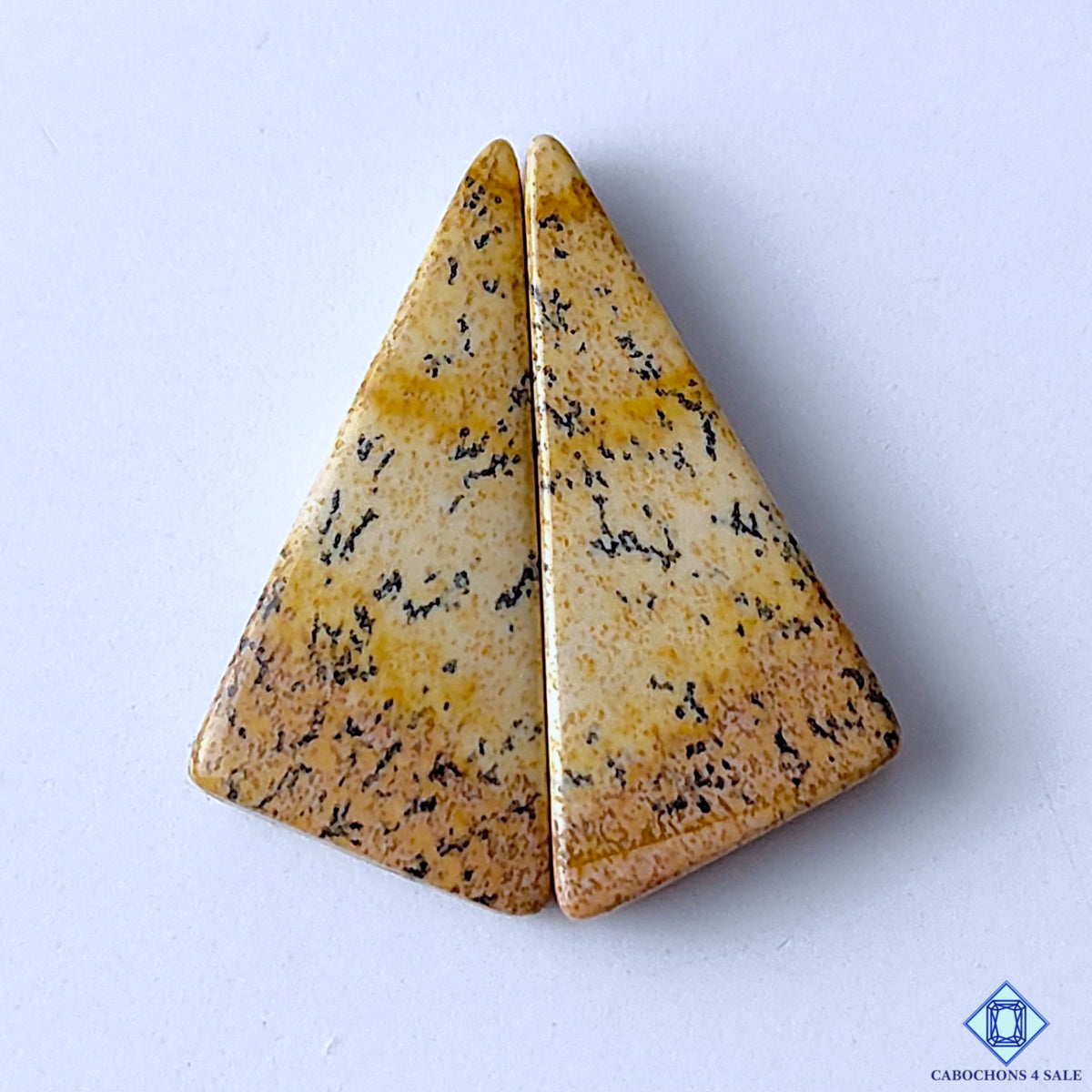 Picture Jasper