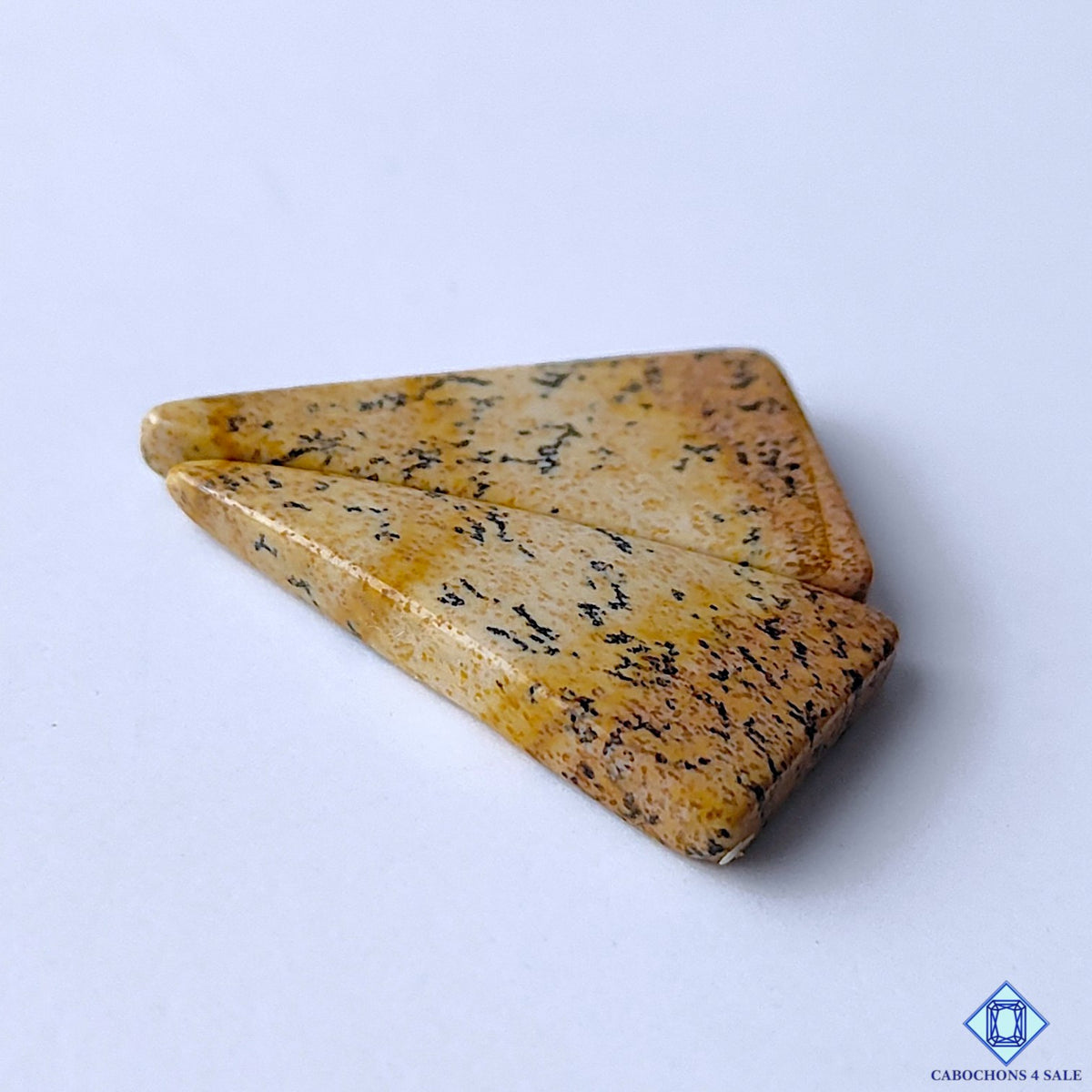 Picture Jasper