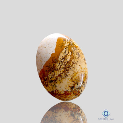 Picture Jasper-Oval-Cabochons