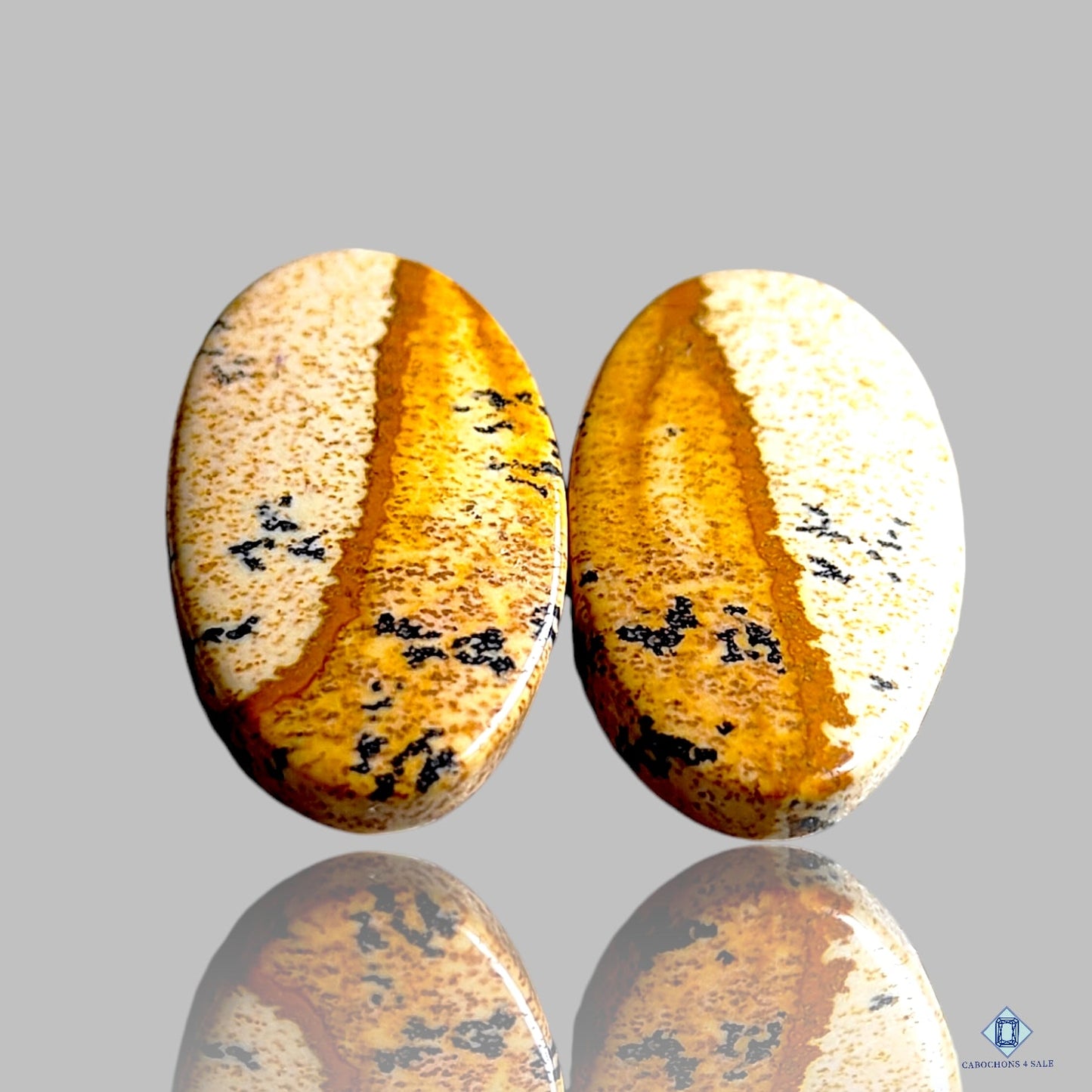 Picture Jasper Oval Pairs