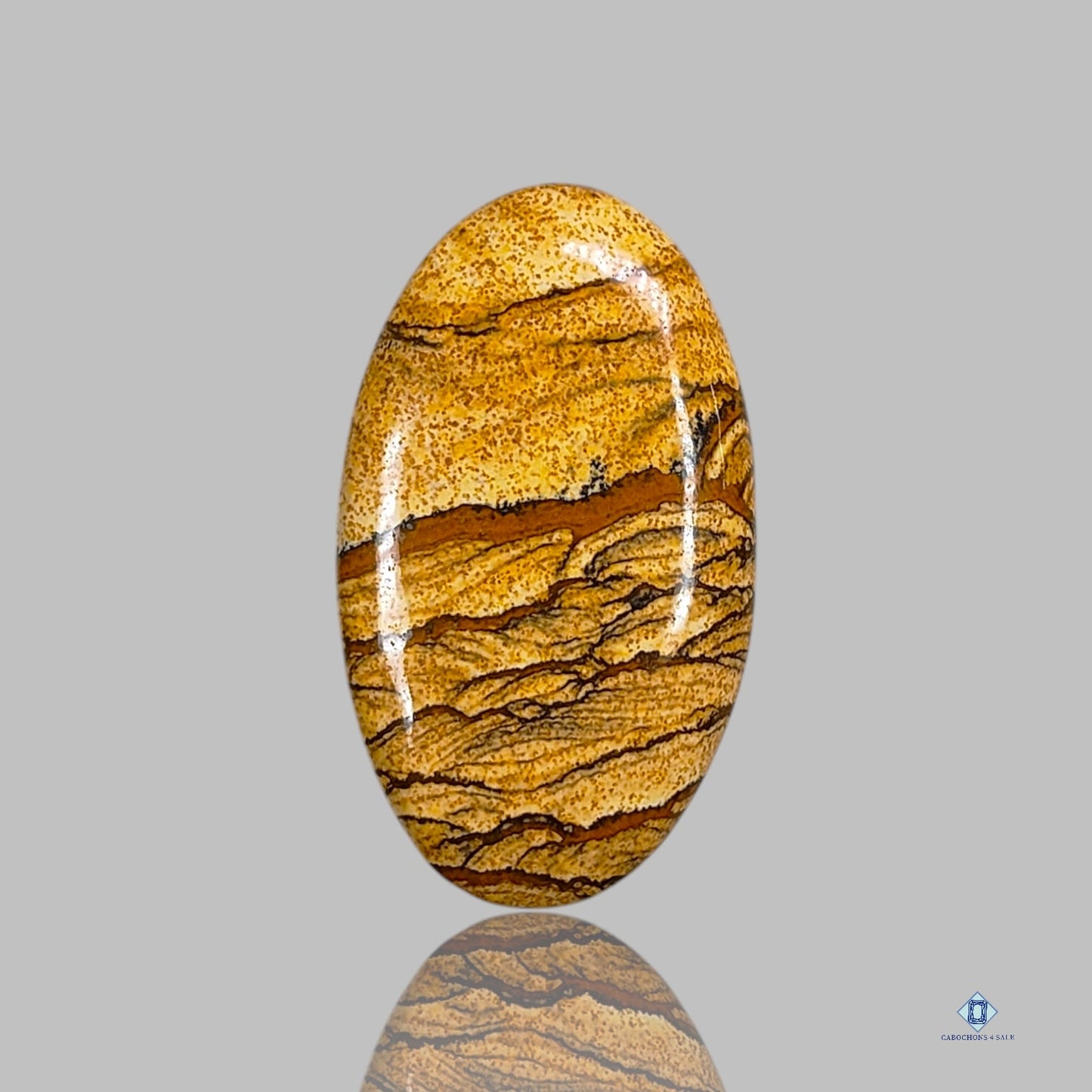 Picture Jasper