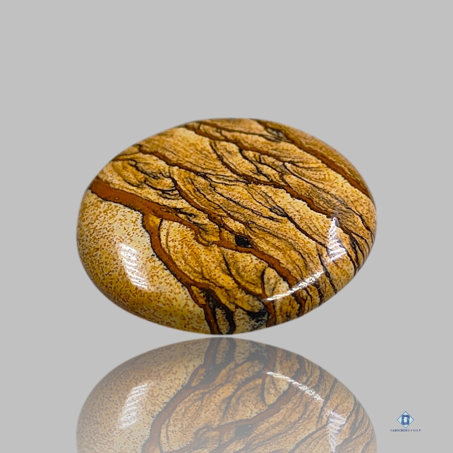 Picture Jasper Round Cabochons