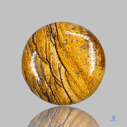 Picture Jasper