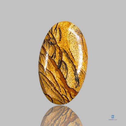 Picture Jasper