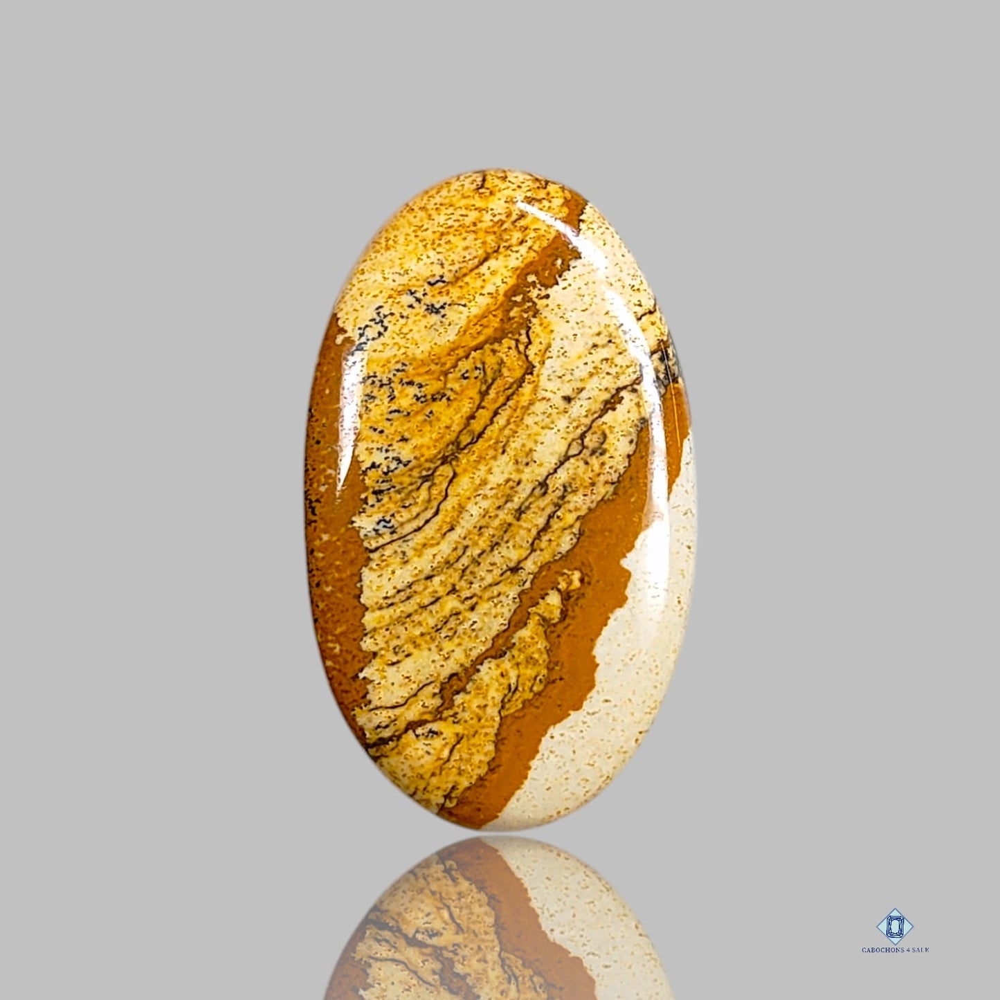 Picture Jasper