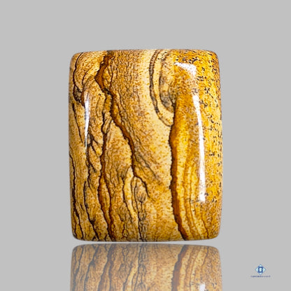 Picture Jasper