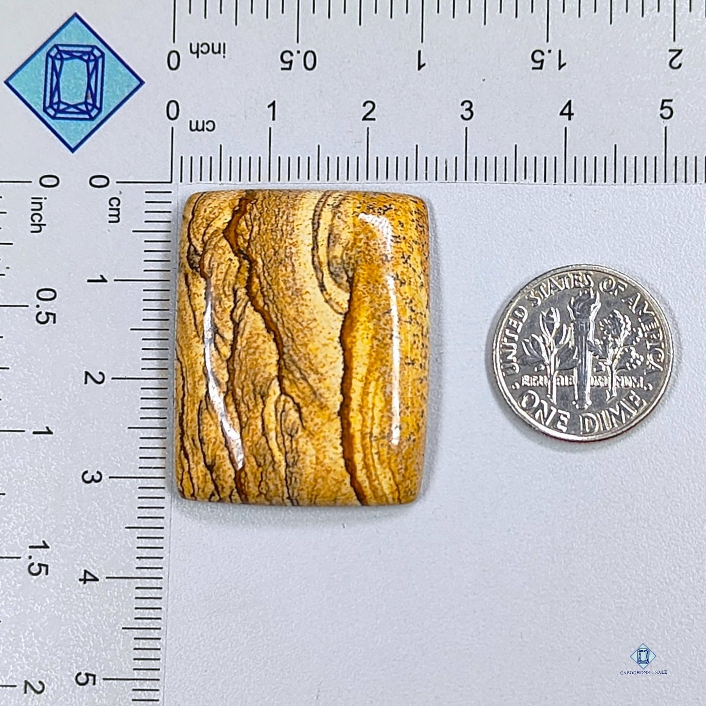 Picture Jasper Rectangle Cabochons