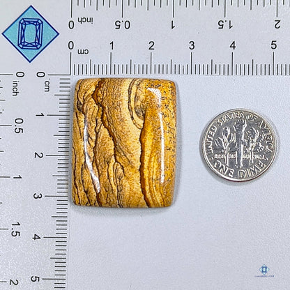 Picture Jasper Rectangle Cabochons