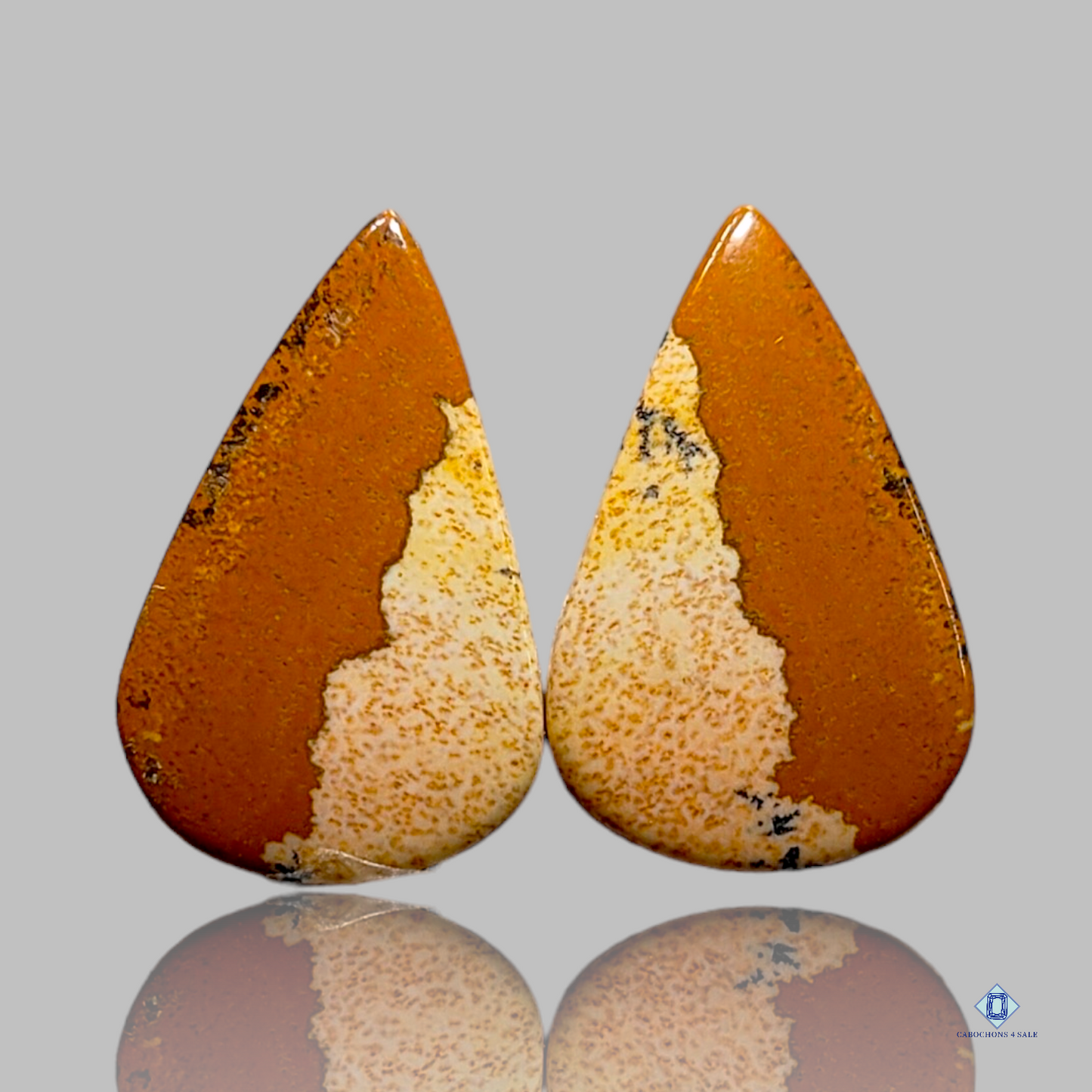 Picture jasper-c4sw1576-pear-Brown-Pairs