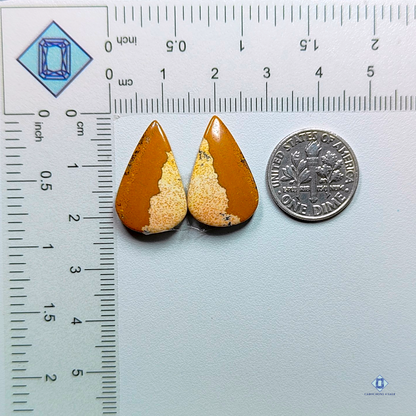 Picture jasper-pear-cabochons