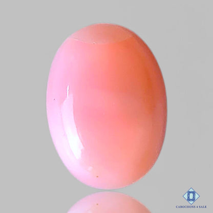 Pink Opal