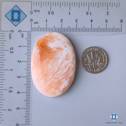 Pink Scolecite