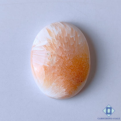 Pink Scolecite