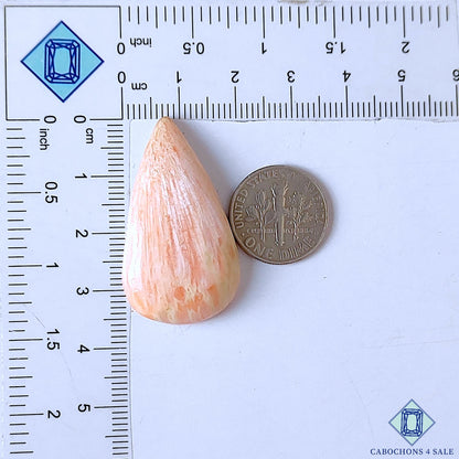 Pink Scolecite