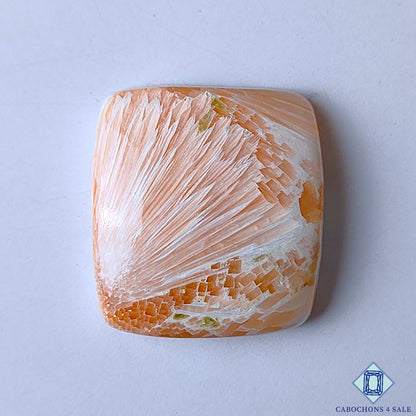 Pink Scolecite