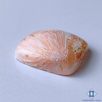 Pink Scolecite