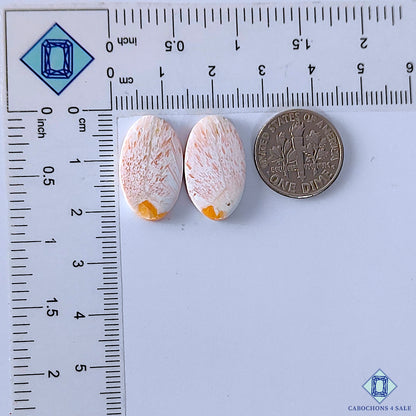 Pink Scolecite