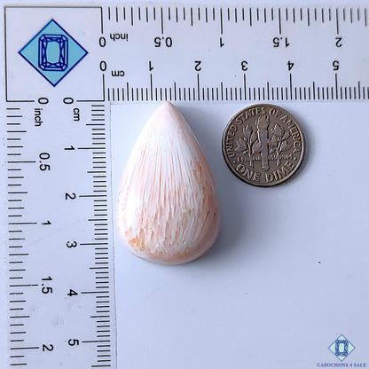 Pink Scolecite