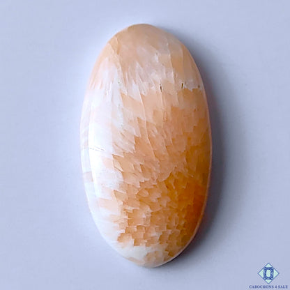 Pink Scolecite