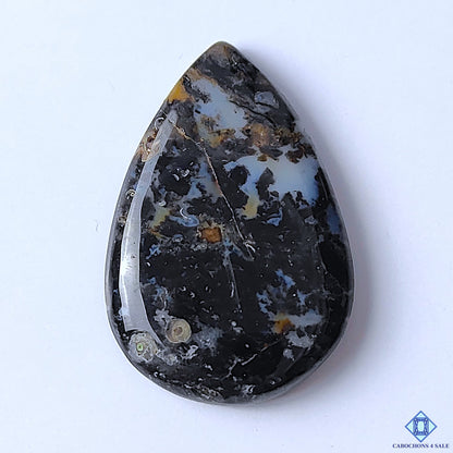 Plume Root Agate