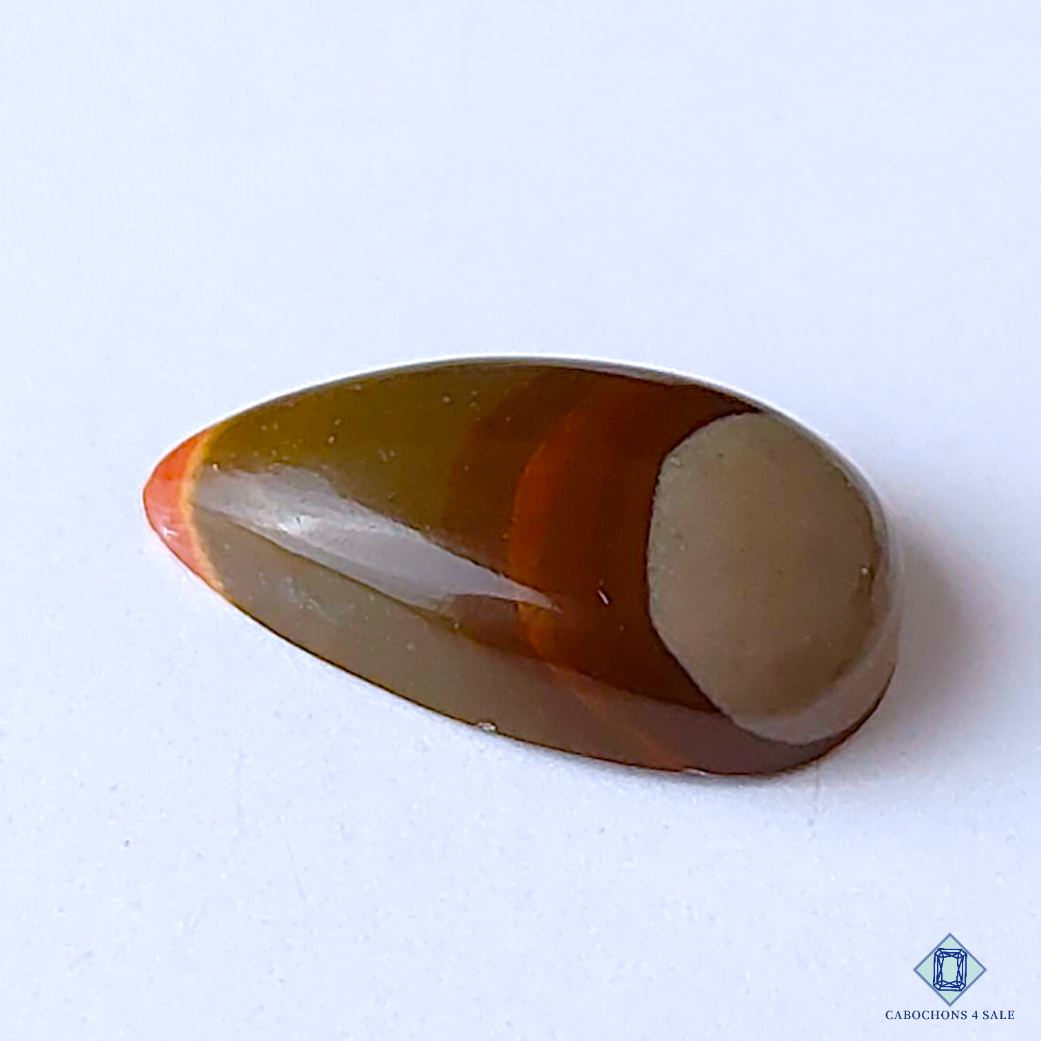 Poly Chrome Jasper
