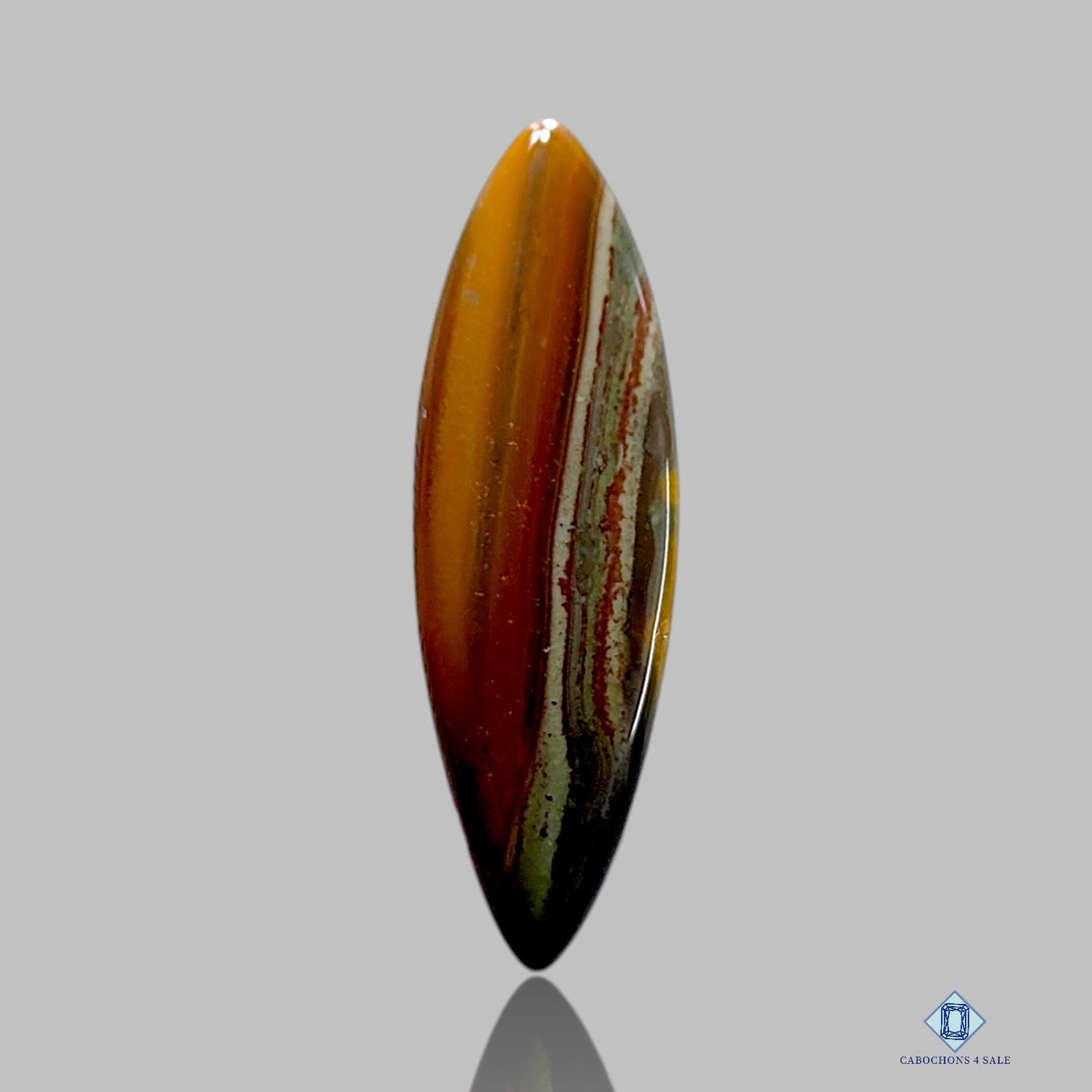 Polychrome Jasper