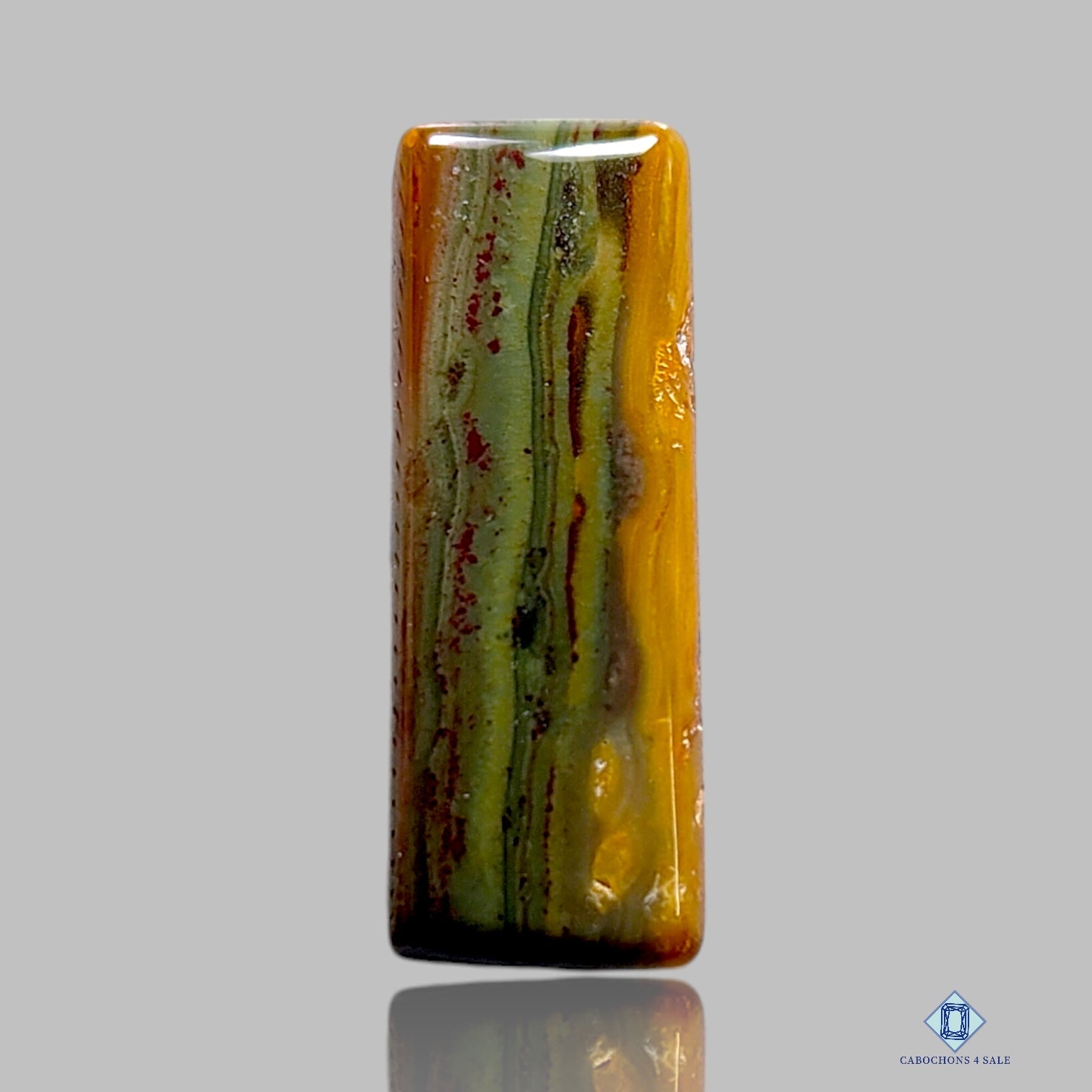 Polychrome Jasper