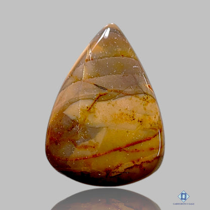 Polychrome Jasper