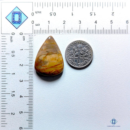 Polychrome Jasper Pear Cabochons