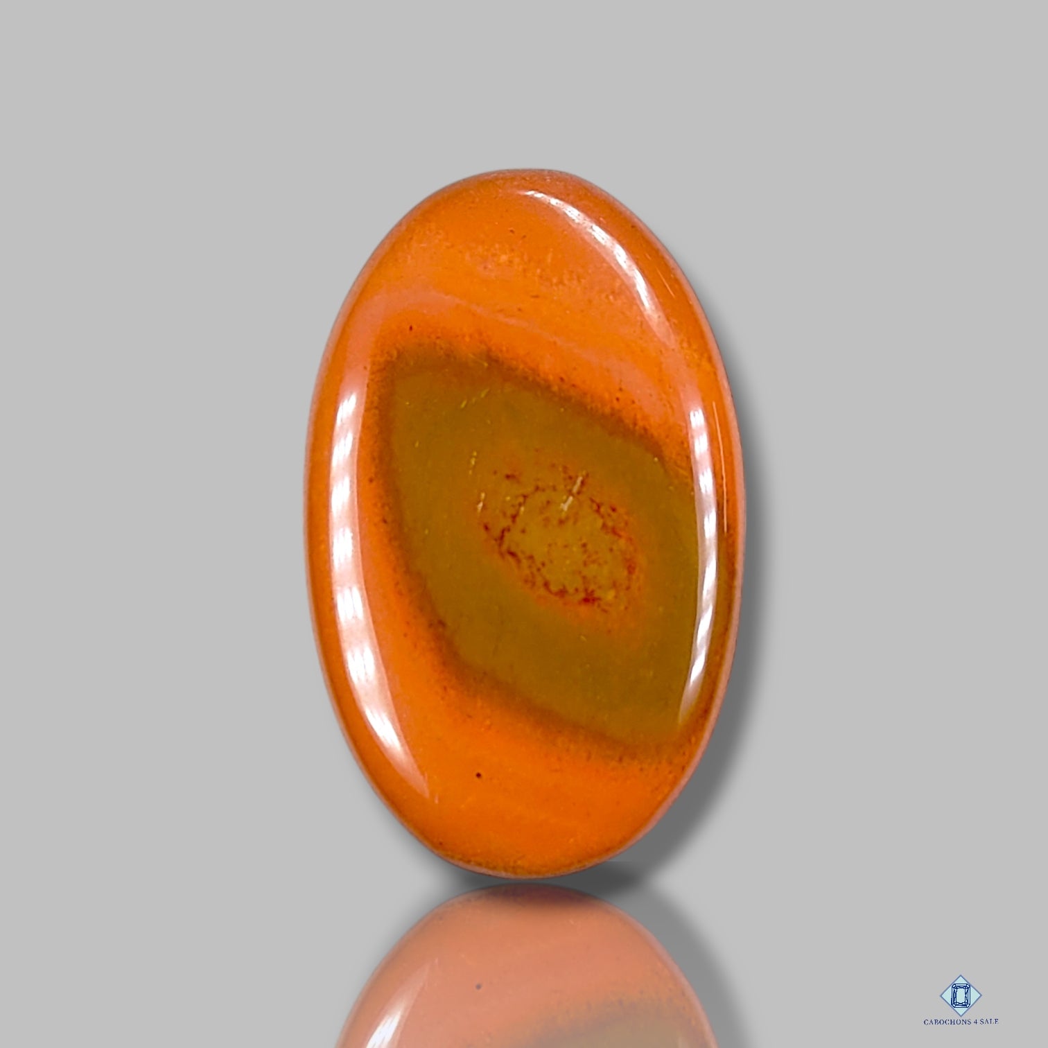 Polychrome Jasper