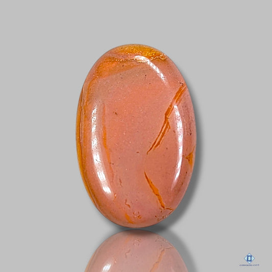 Polychrome Jasper