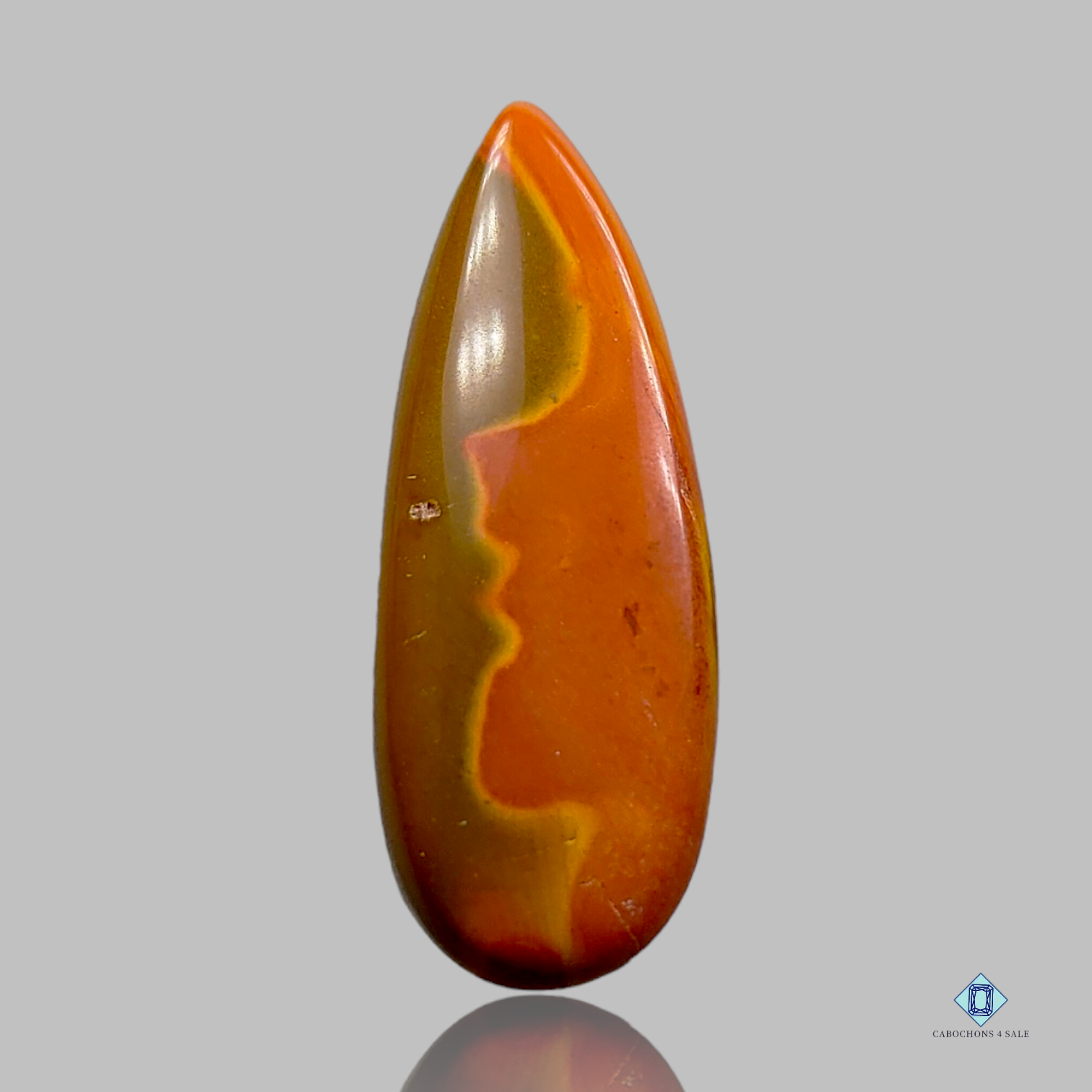 Polychrome Jasper