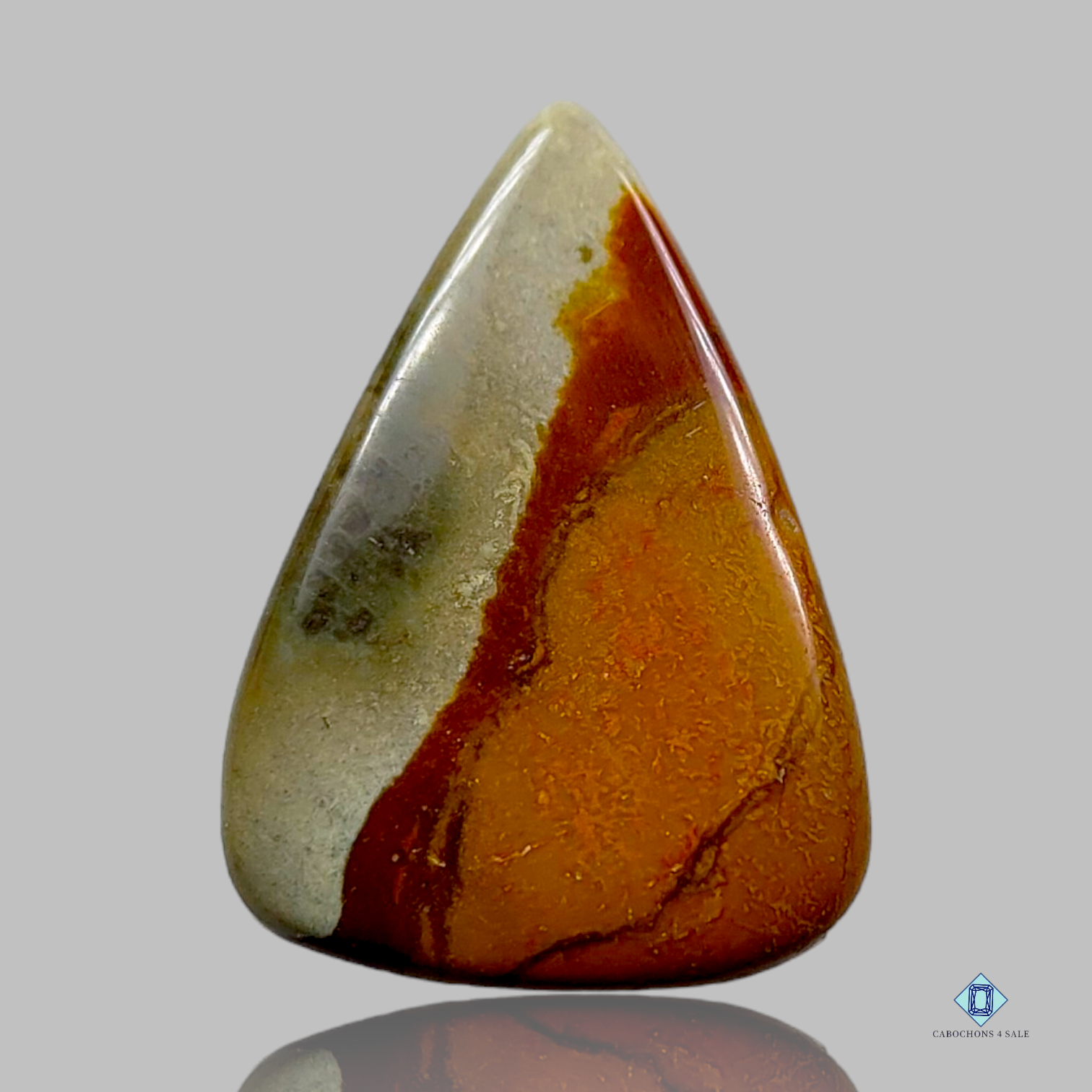 Polychrome Jasper