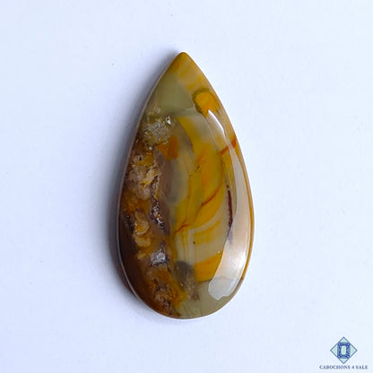 Polychrome Jasper