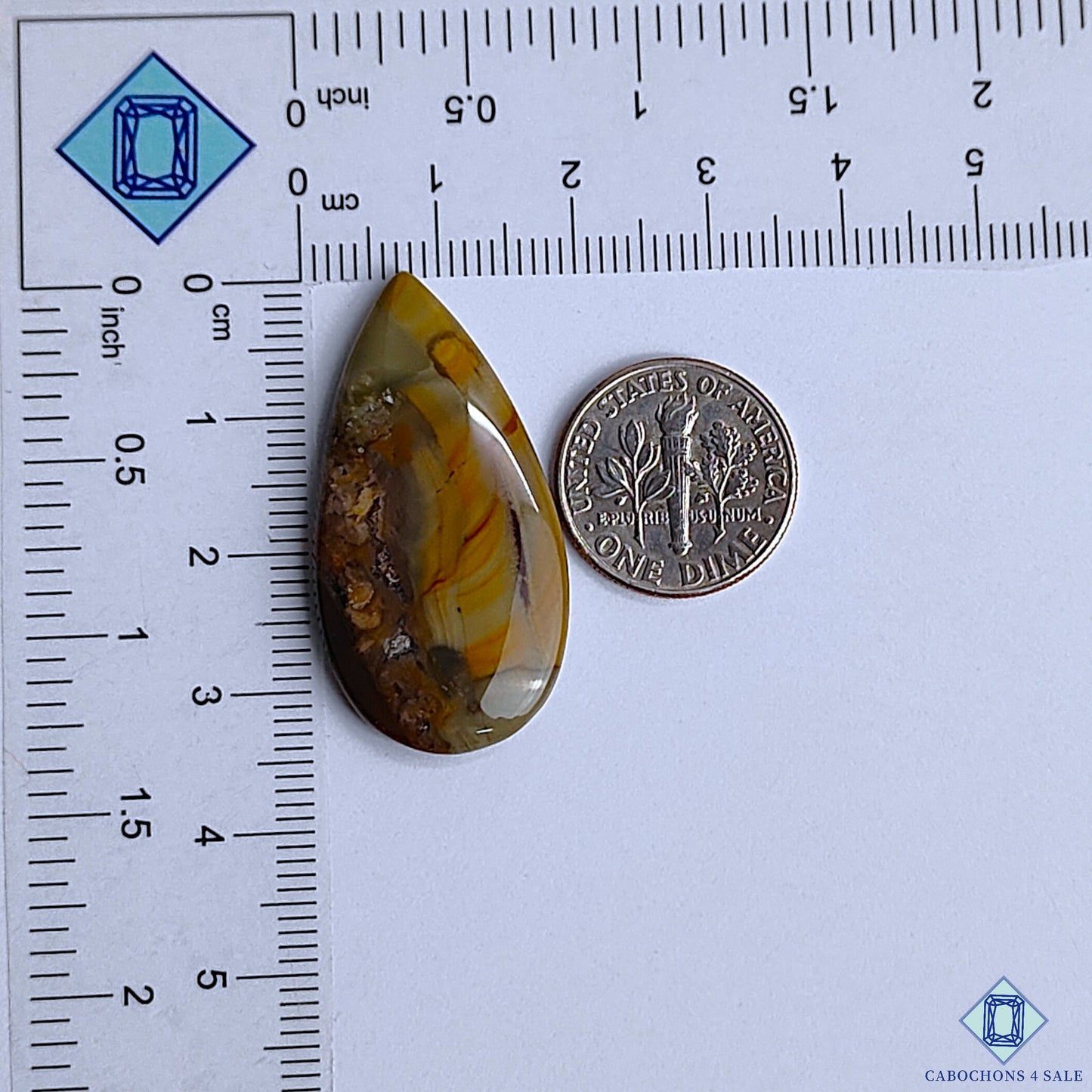 Polychrome Jasper