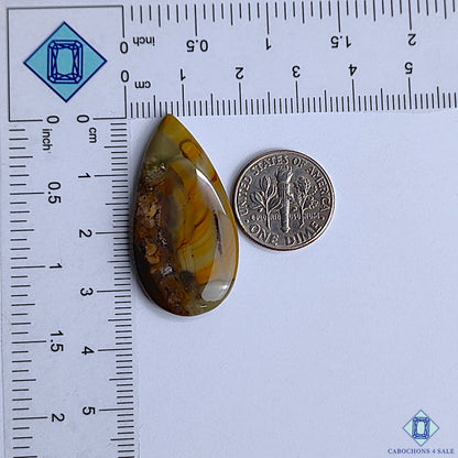 Polychrome Jasper