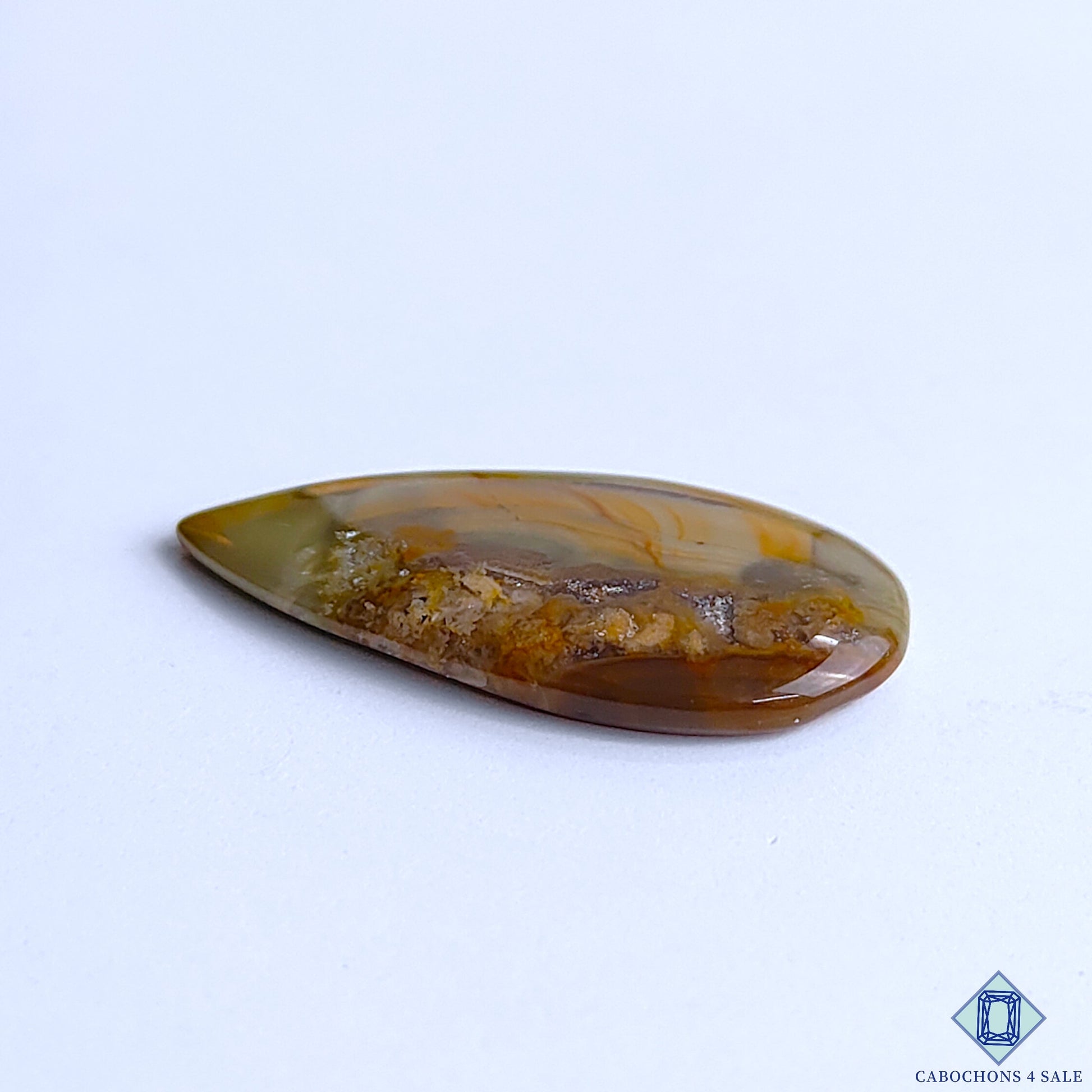 Polychrome Jasper