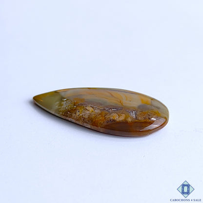 Polychrome Jasper