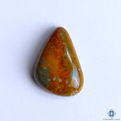 Polychrome Jasper