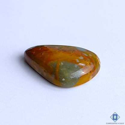 Polychrome Jasper
